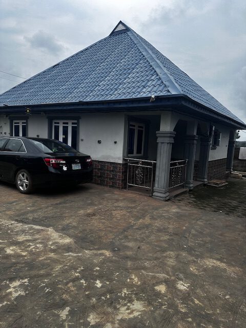 image8